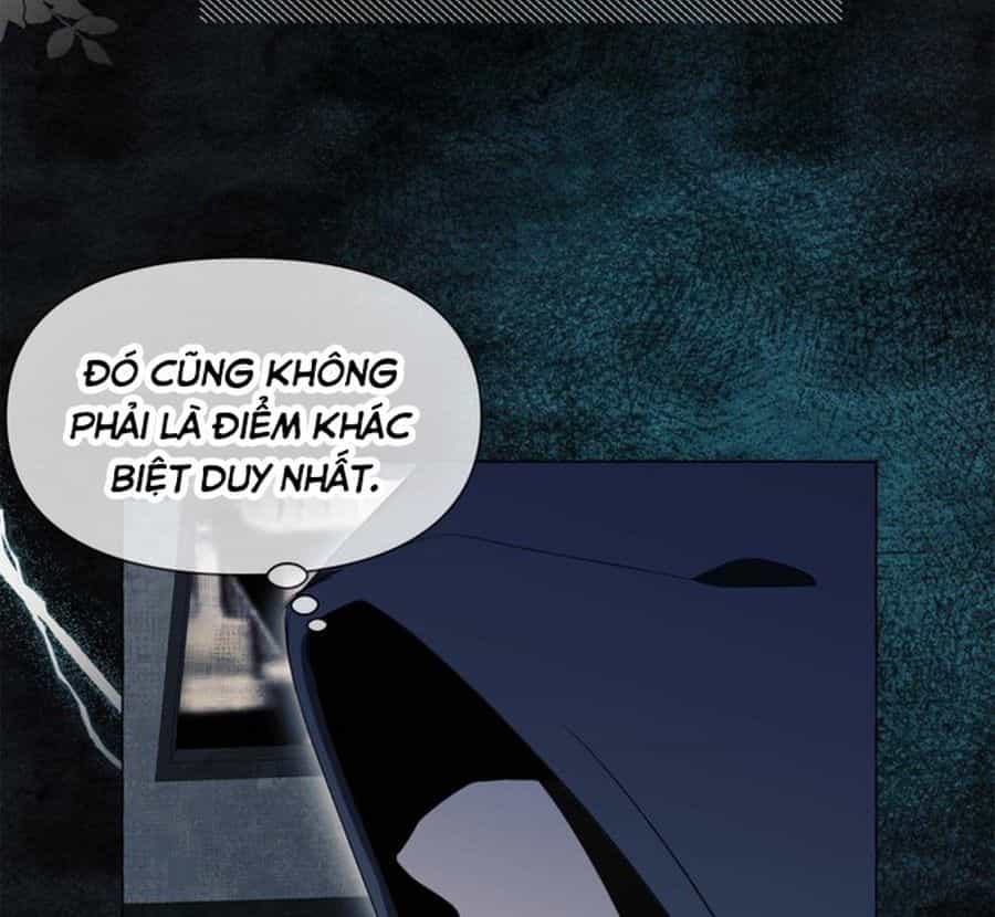 Không Phải Câu Chuyện Chuyển Sinh Thông Thường - Chương 32 - ảnh 56