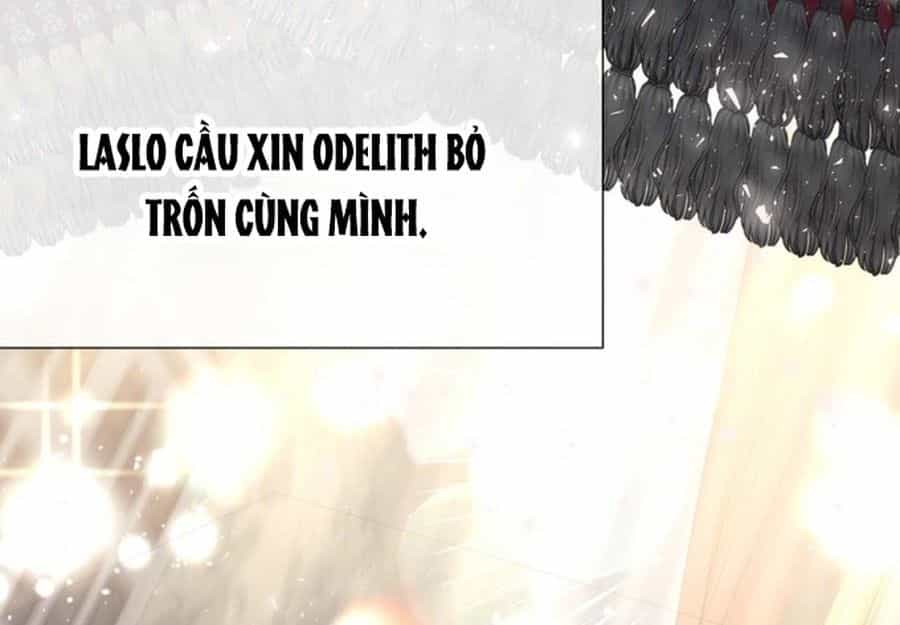 Không Phải Câu Chuyện Chuyển Sinh Thông Thường - Chương 35 - ảnh 99