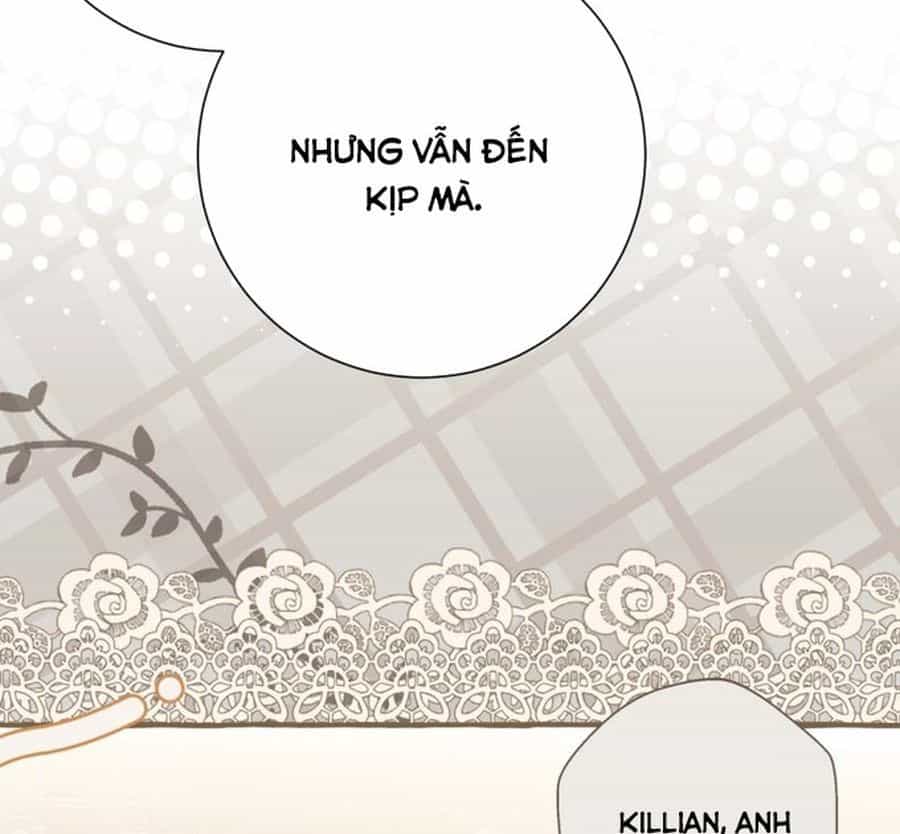 Không Phải Câu Chuyện Chuyển Sinh Thông Thường - Chương 41 - ảnh 120