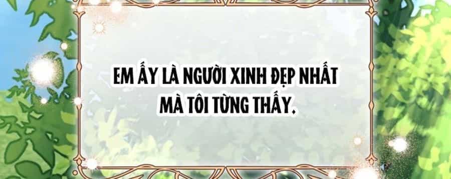 Không Phải Câu Chuyện Chuyển Sinh Thông Thường - Chương 41 - ảnh 158