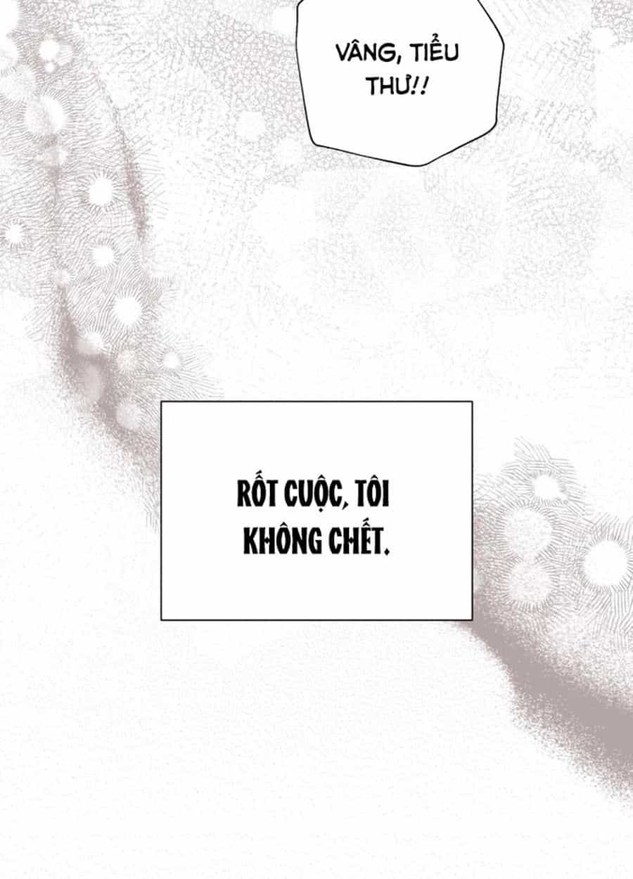 Không Phải Câu Chuyện Chuyển Sinh Thông Thường - Chương 44 - ảnh 156