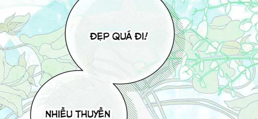 Không Phải Câu Chuyện Chuyển Sinh Thông Thường - Chương 44 - ảnh 25