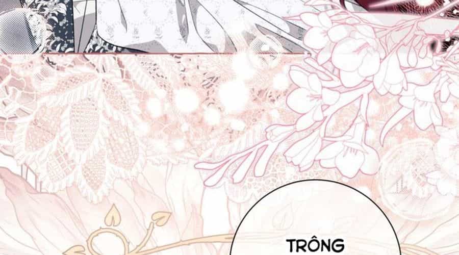 Không Phải Câu Chuyện Chuyển Sinh Thông Thường - Chương 47 - ảnh 90