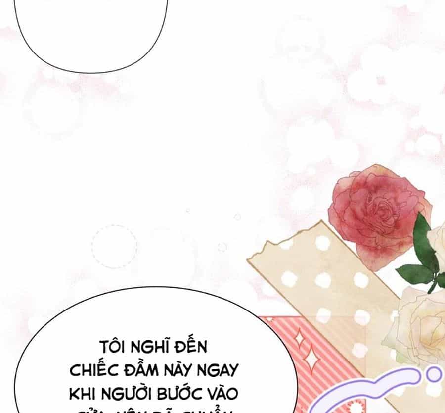 Không Phải Câu Chuyện Chuyển Sinh Thông Thường - Chương 48 - ảnh 164