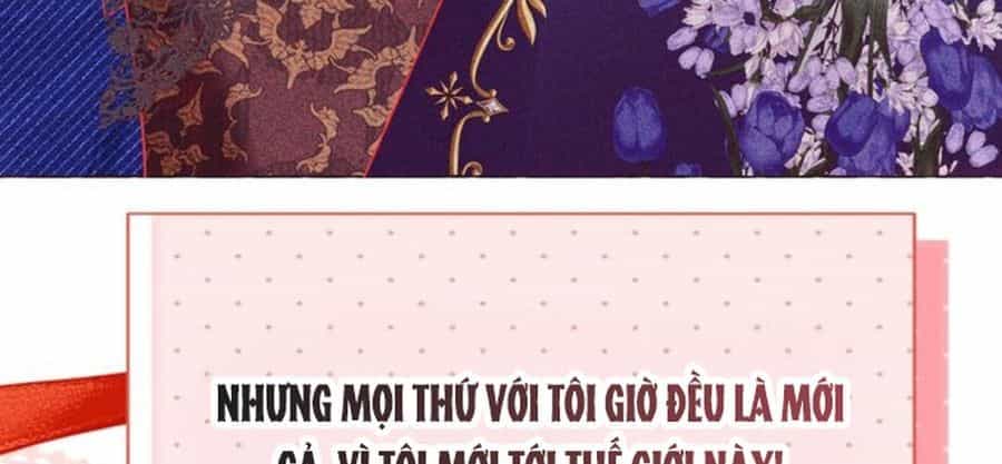 Không Phải Câu Chuyện Chuyển Sinh Thông Thường - Chương 48 - ảnh 91