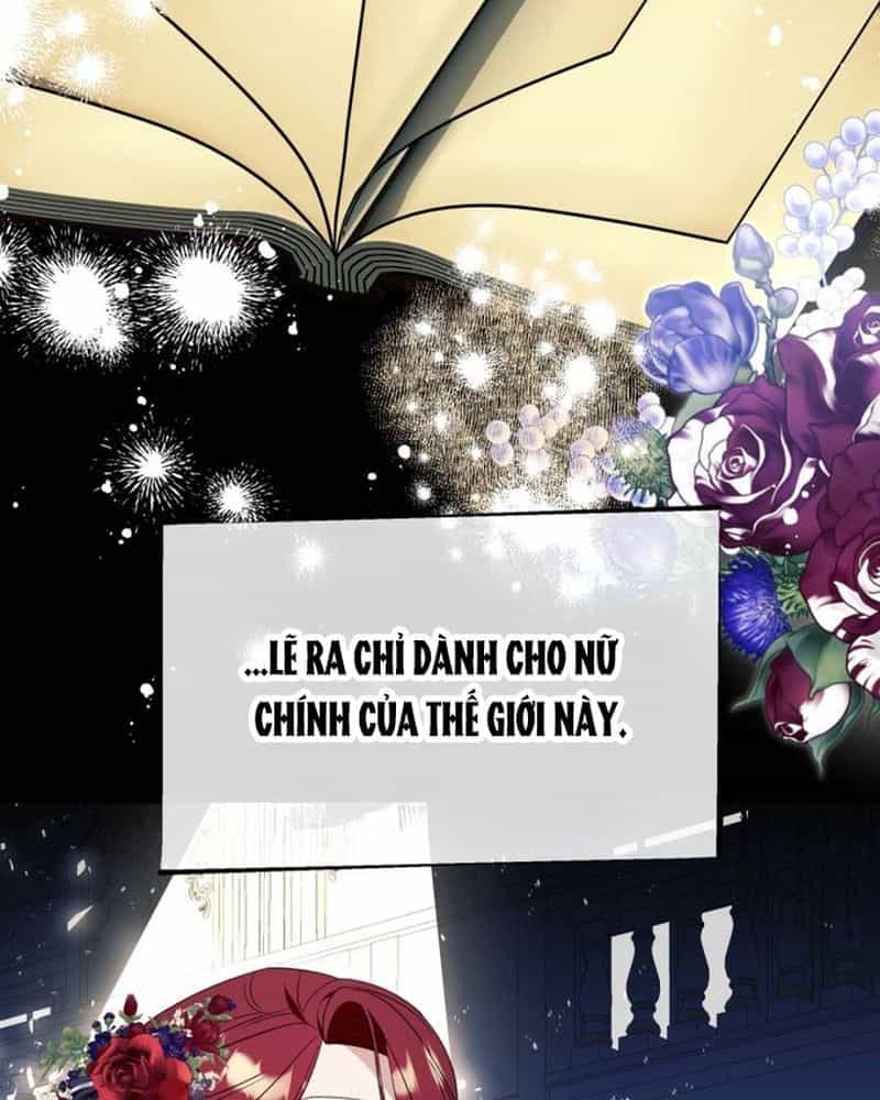 Không Phải Câu Chuyện Chuyển Sinh Thông Thường - Chương 57 - ảnh 121