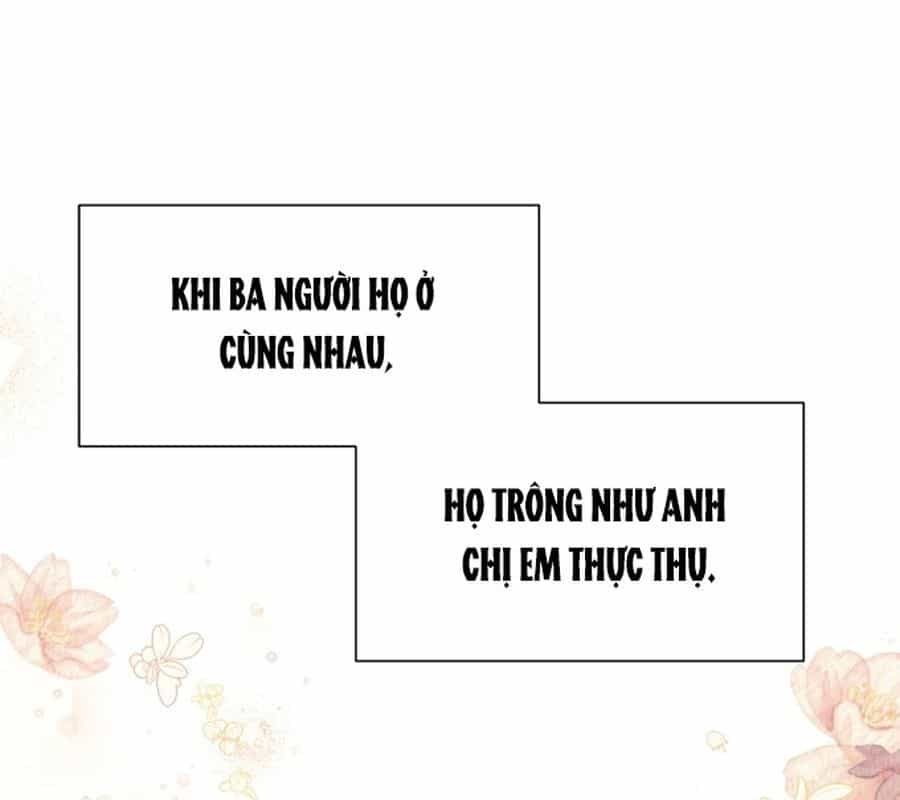 Không Phải Câu Chuyện Chuyển Sinh Thông Thường - Chương 7 - ảnh 188
