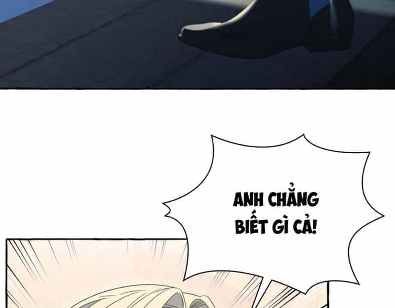 Không Phải Câu Chuyện Chuyển Sinh Thông Thường - Chương 74 - ảnh 42