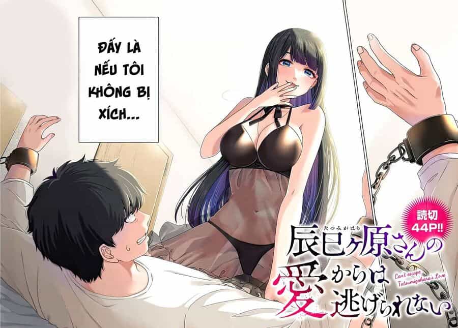Không Thể Thoát Khỏi Tình Yêu Của Tatsumigahra - Chương 1 - ảnh 3