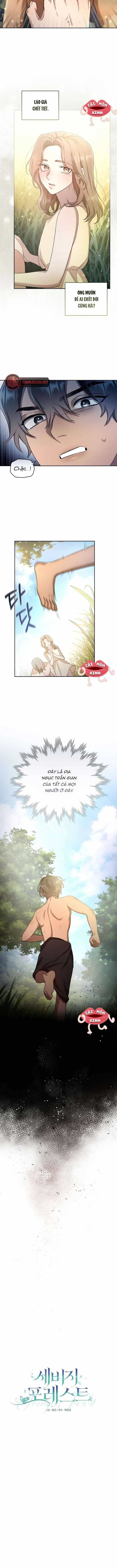 Khu Rừng Hoang Dã - Chương 2 - ảnh 7