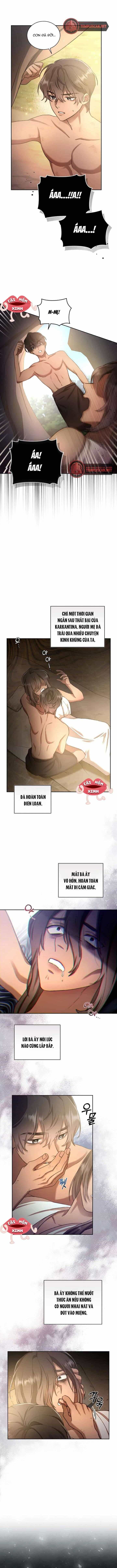 Khu Rừng Hoang Dã - Chương 2 - ảnh 8