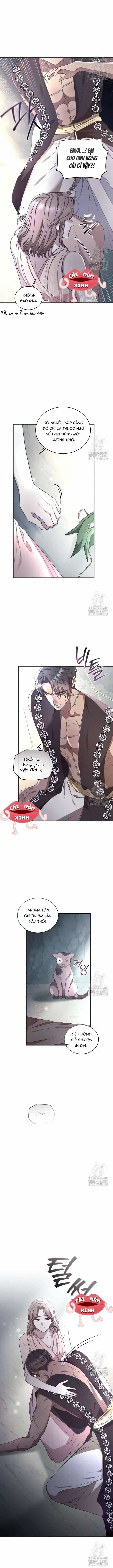 Khu Rừng Hoang Dã - Chương 46 - ảnh 14