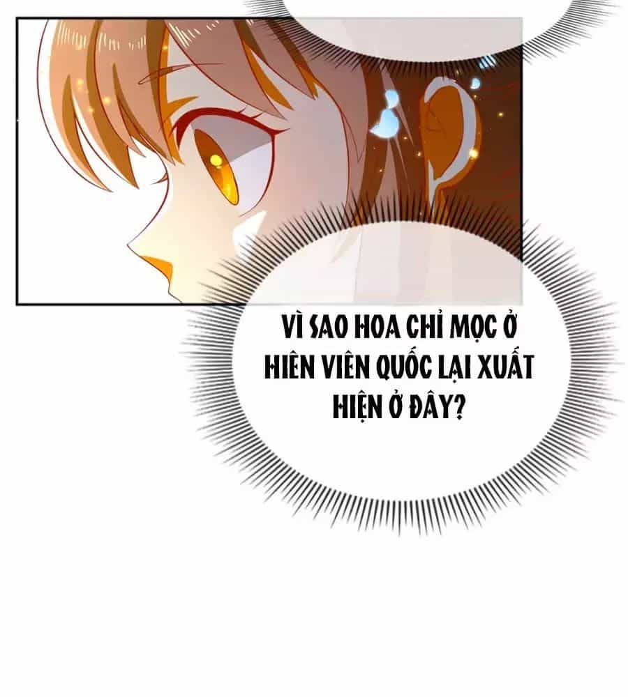 Khuynh Thành Cuồng Phi Của Tà Vương - Chương 104 - ảnh 27