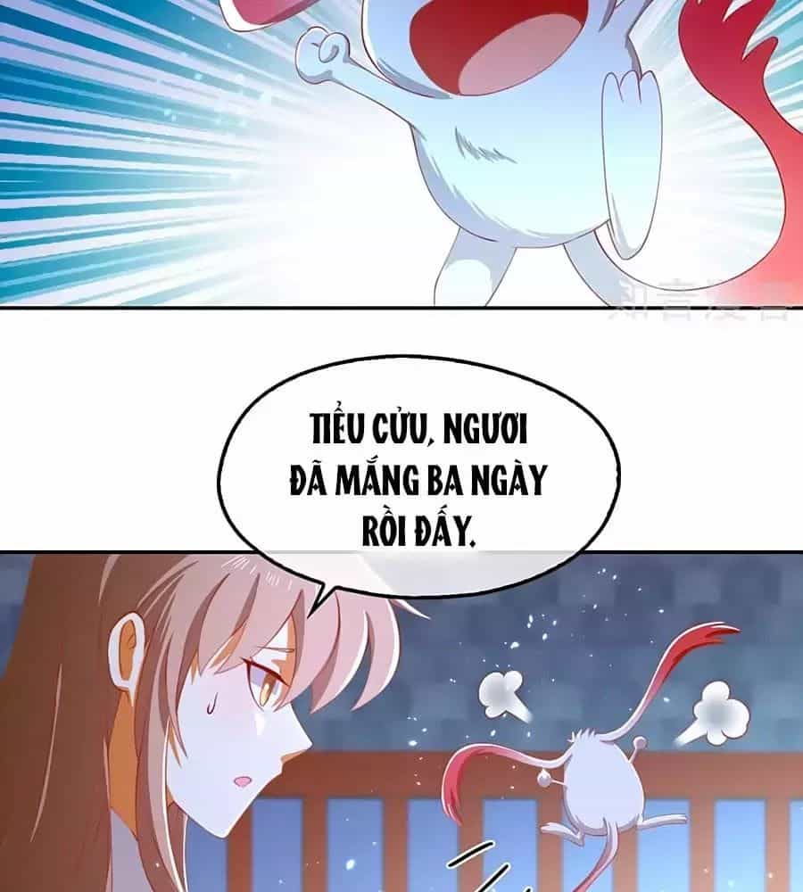 Khuynh Thành Cuồng Phi Của Tà Vương - Chương 111 - ảnh 32
