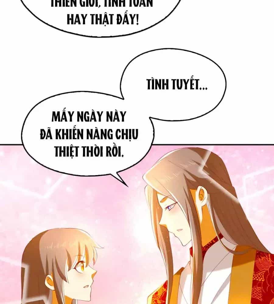 Khuynh Thành Cuồng Phi Của Tà Vương - Chương 114 - ảnh 27