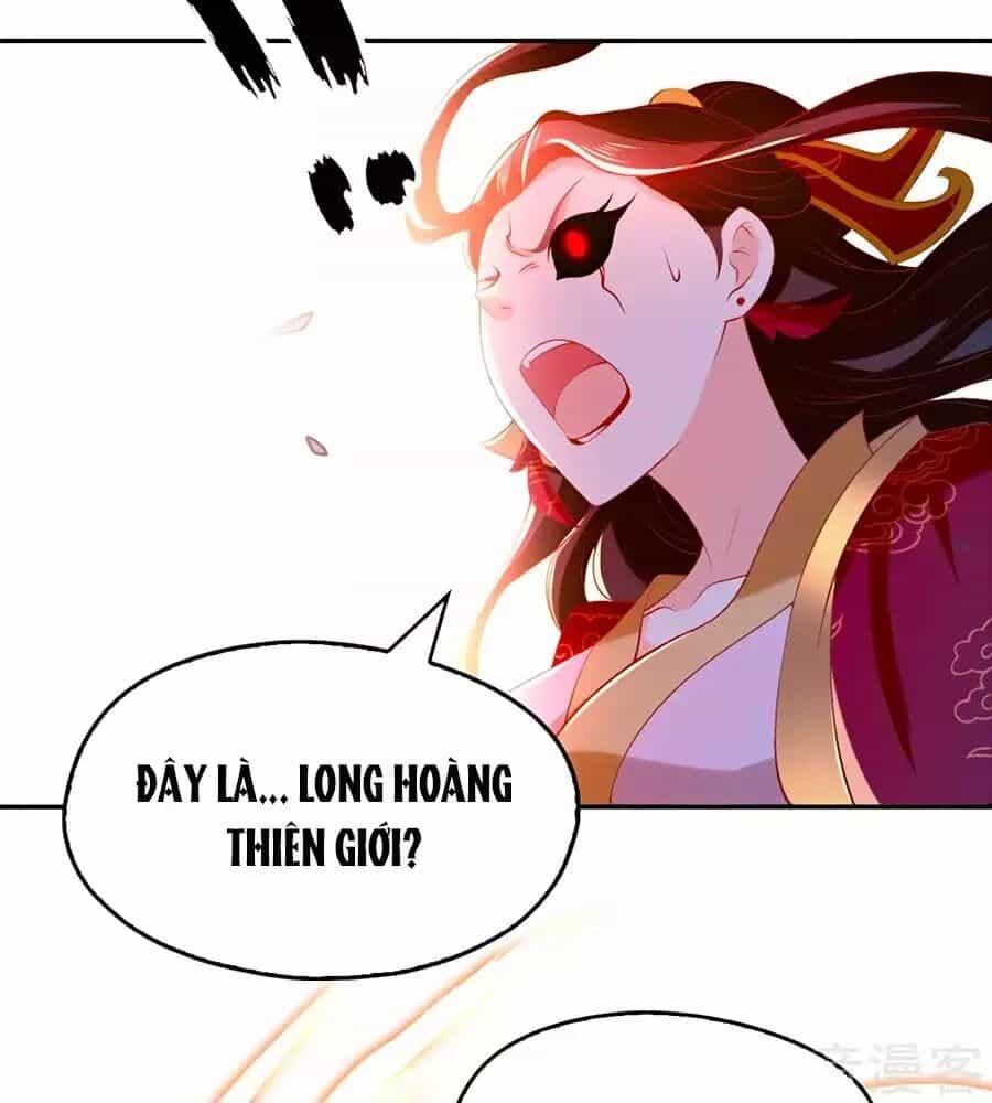 Khuynh Thành Cuồng Phi Của Tà Vương - Chương 116 - ảnh 29