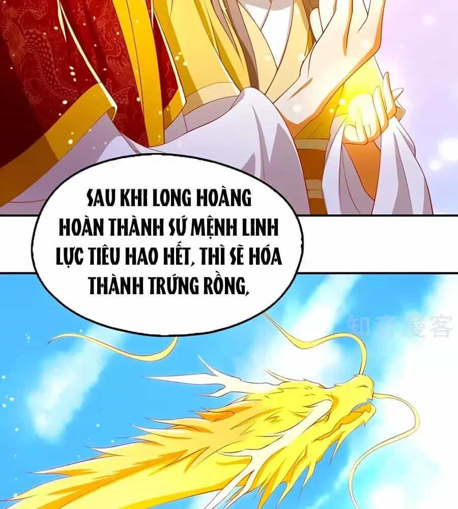 Khuynh Thành Cuồng Phi Của Tà Vương - Chương 119 - ảnh 14