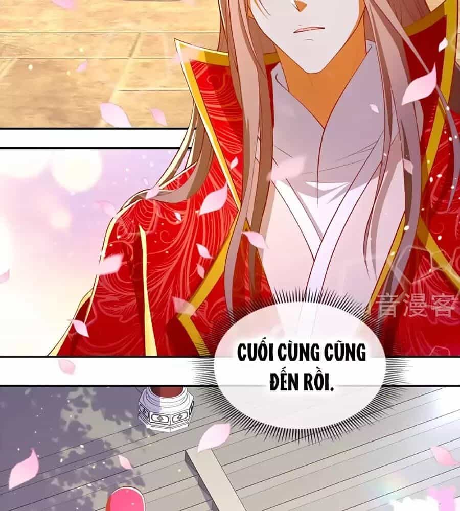 Khuynh Thành Cuồng Phi Của Tà Vương - Chương 119 - ảnh 46