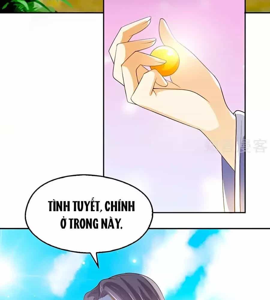 Khuynh Thành Cuồng Phi Của Tà Vương - Chương 123 - ảnh 63