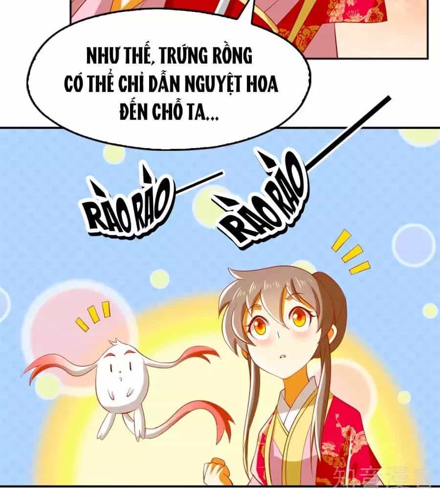 Khuynh Thành Cuồng Phi Của Tà Vương - Chương 124 - ảnh 42