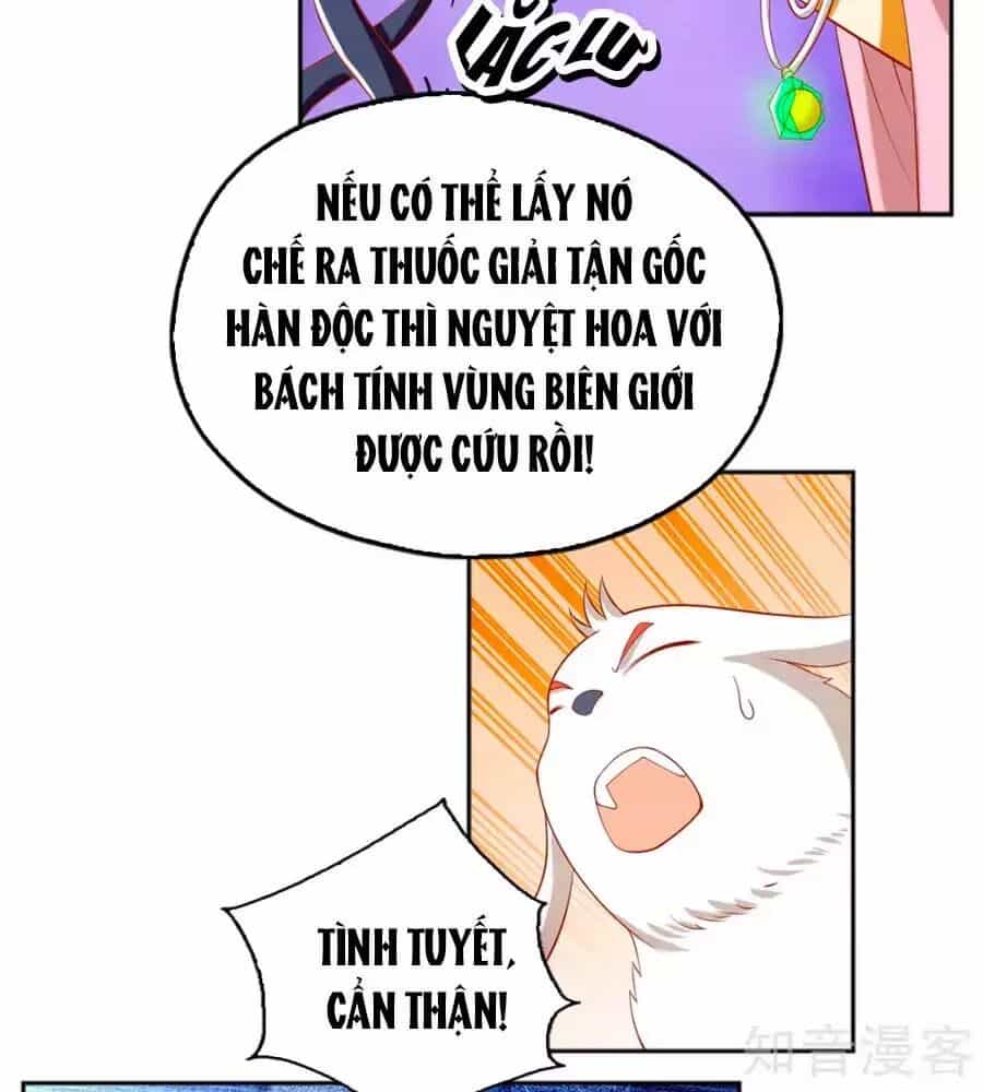 Khuynh Thành Cuồng Phi Của Tà Vương - Chương 124 - ảnh 56