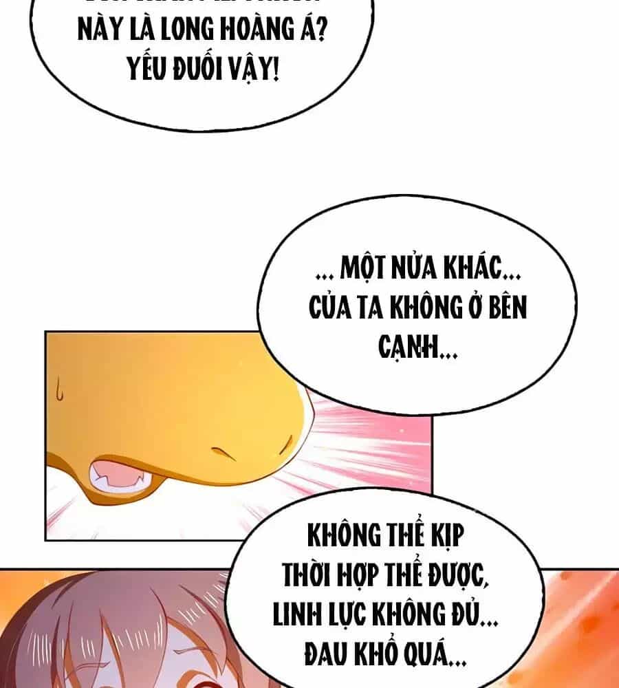 Khuynh Thành Cuồng Phi Của Tà Vương - Chương 125 - ảnh 11