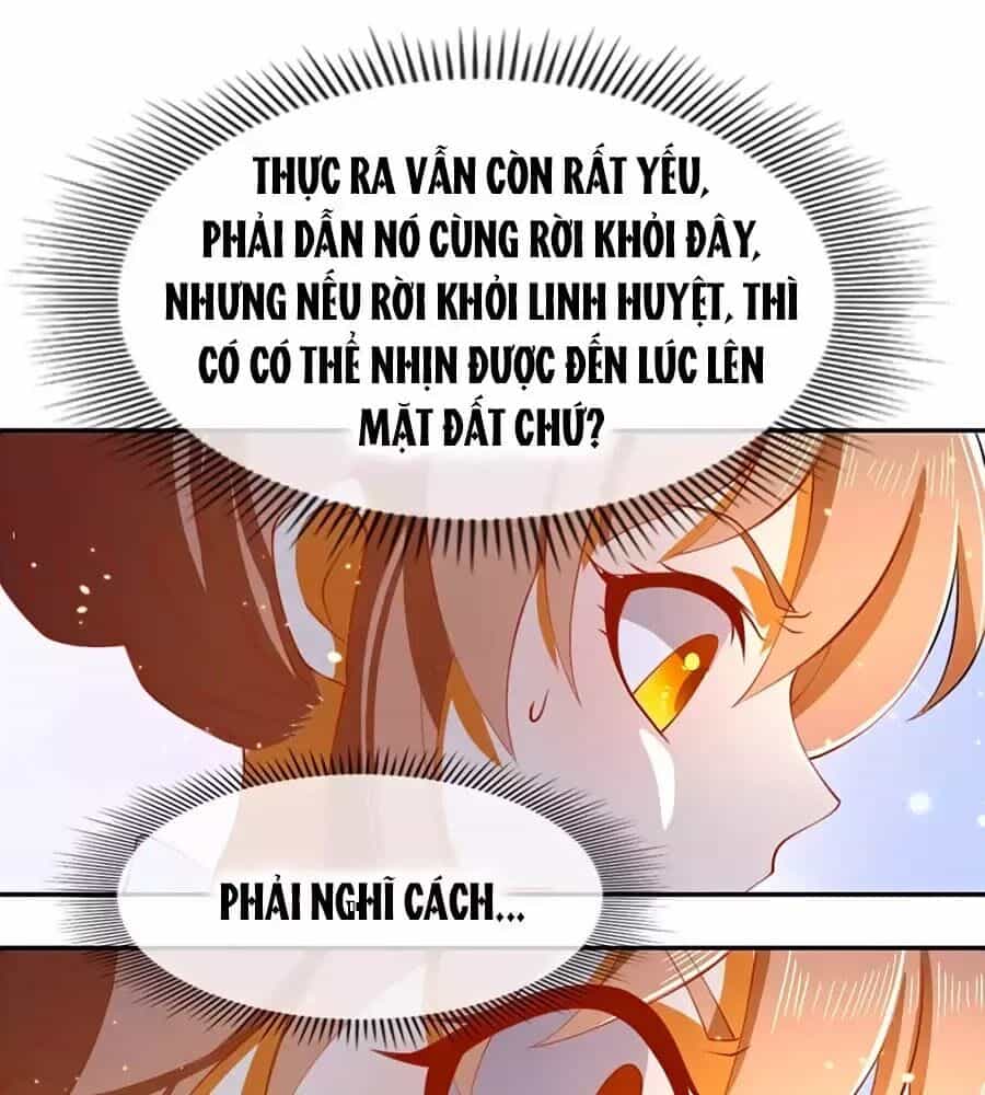Khuynh Thành Cuồng Phi Của Tà Vương - Chương 125 - ảnh 33