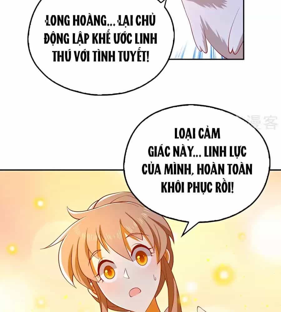 Khuynh Thành Cuồng Phi Của Tà Vương - Chương 125 - ảnh 54