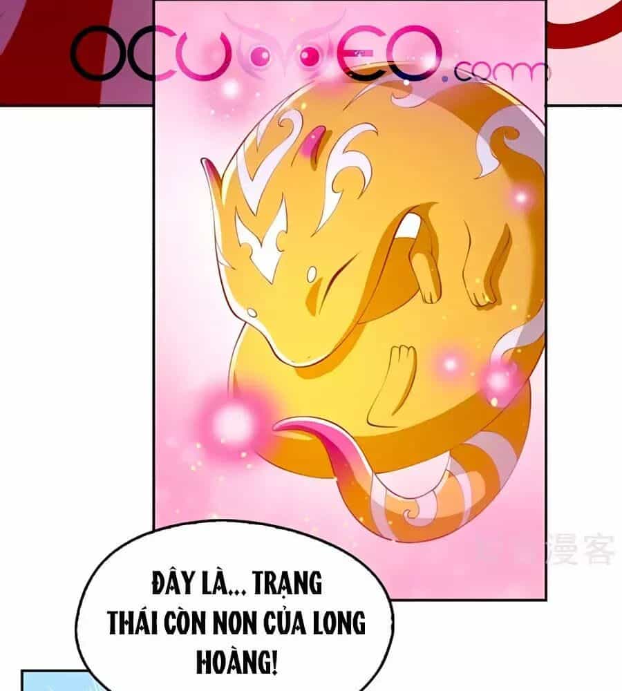 Khuynh Thành Cuồng Phi Của Tà Vương - Chương 125 - ảnh 8