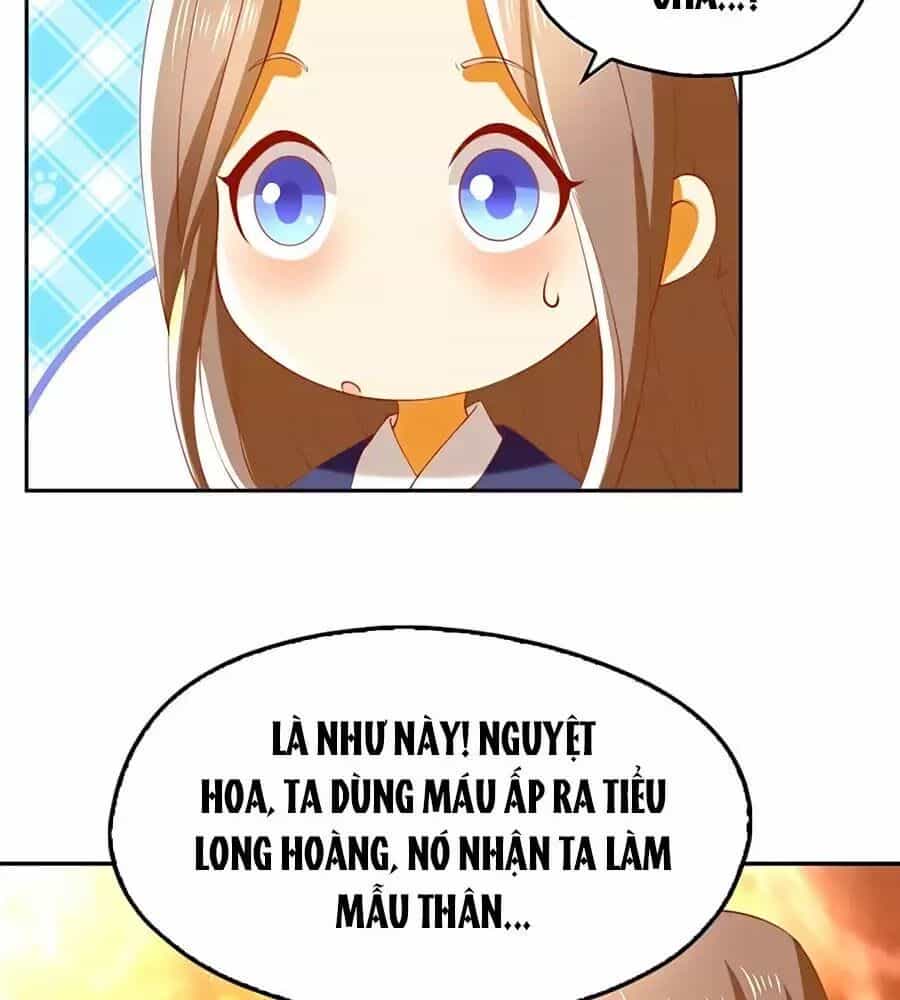 Khuynh Thành Cuồng Phi Của Tà Vương - Chương 126 - ảnh 8