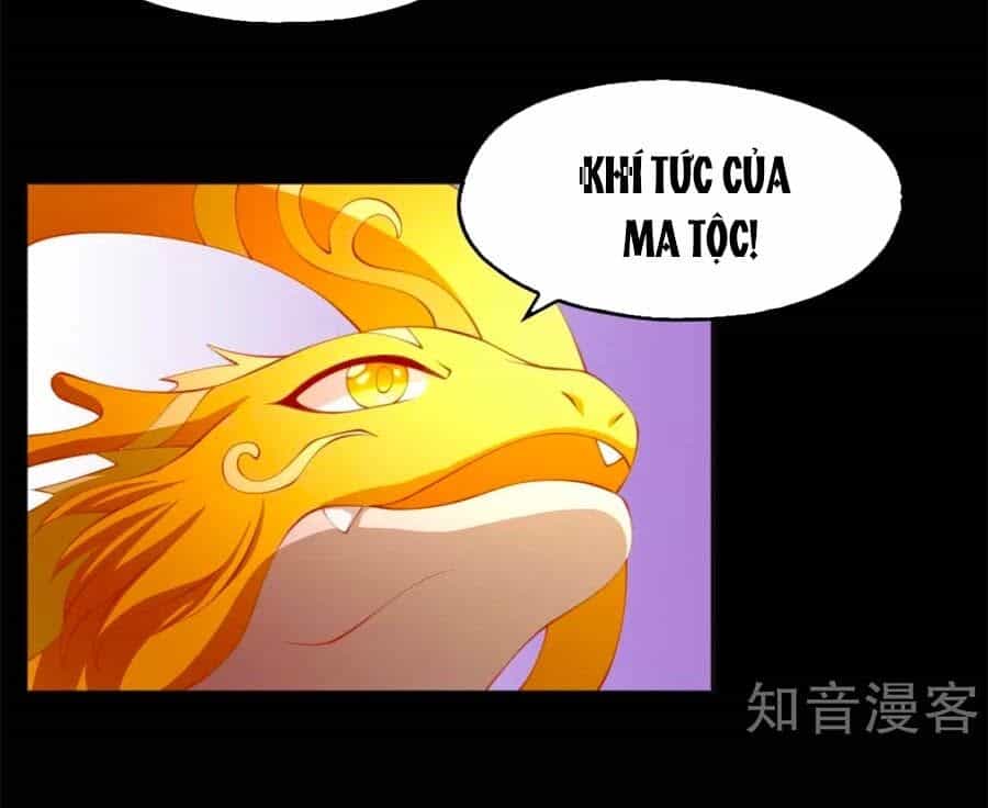 Khuynh Thành Cuồng Phi Của Tà Vương - Chương 135 - ảnh 9