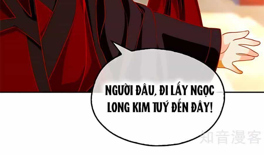 Khuynh Thành Cuồng Phi Của Tà Vương - Chương 62 - ảnh 20
