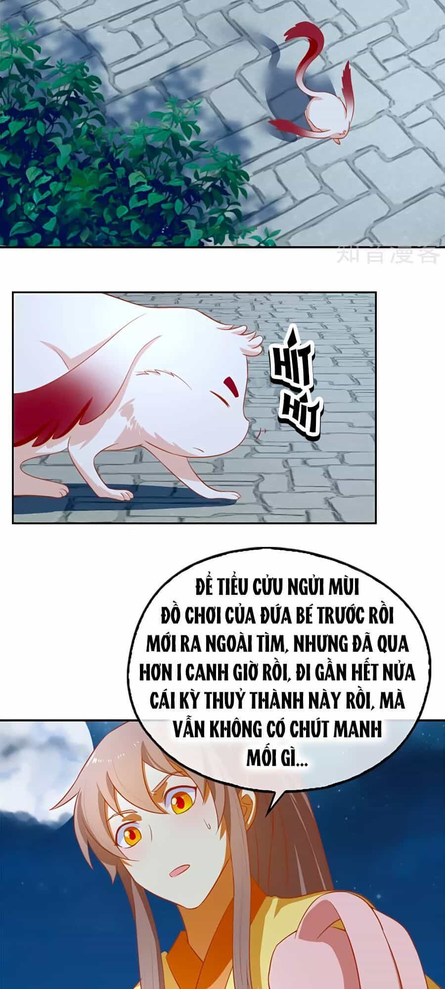 Khuynh Thành Cuồng Phi Của Tà Vương - Chương 66 - ảnh 23