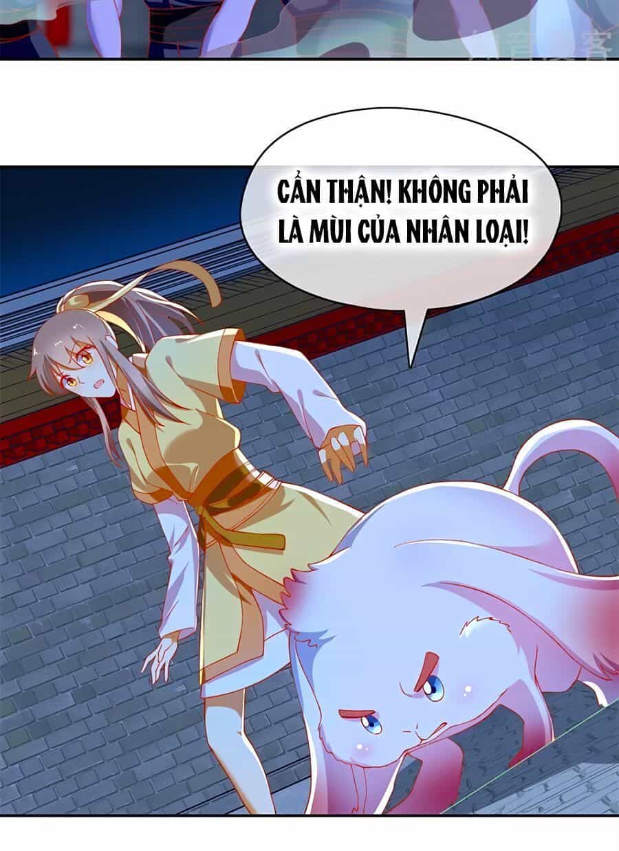 Khuynh Thành Cuồng Phi Của Tà Vương - Chương 67 - ảnh 4
