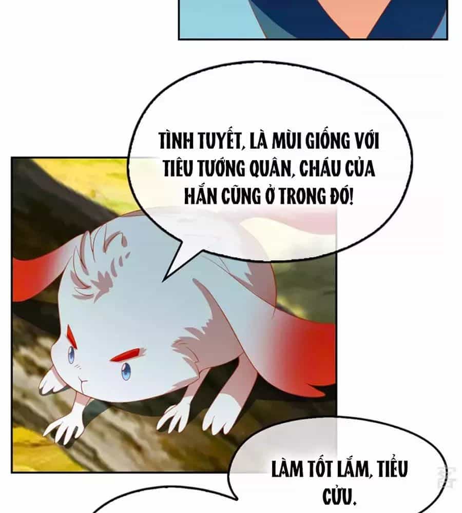 Khuynh Thành Cuồng Phi Của Tà Vương - Chương 69 - ảnh 21