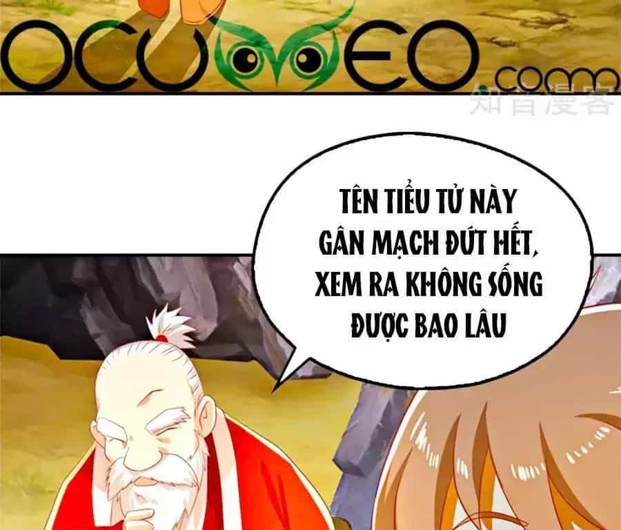 Khuynh Thành Cuồng Phi Của Tà Vương - Chương 75 - ảnh 66