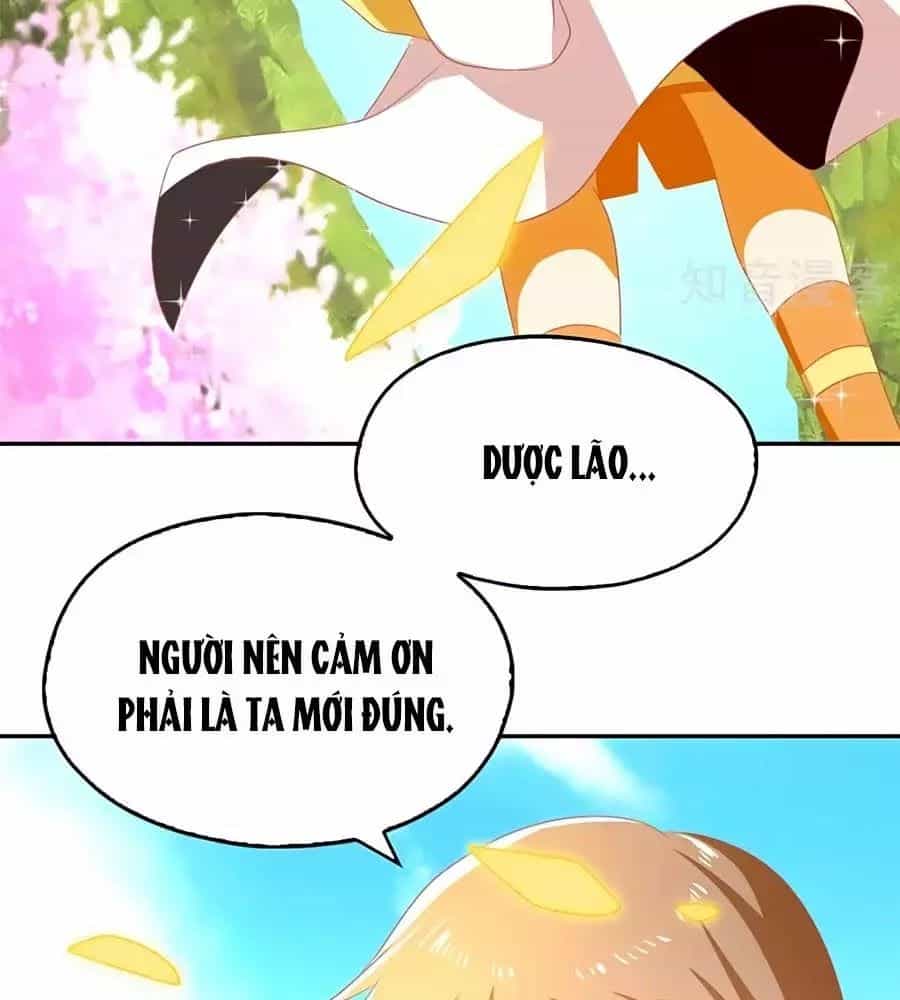 Khuynh Thành Cuồng Phi Của Tà Vương - Chương 76 - ảnh 59