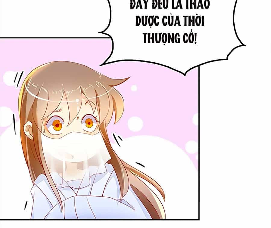 Khuynh Thành Cuồng Phi Của Tà Vương - Chương 9 - ảnh 10