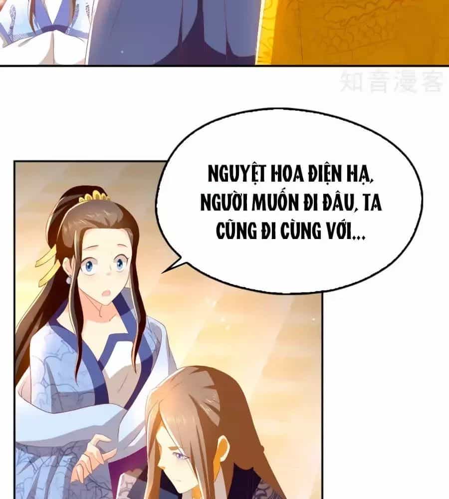Khuynh Thành Cuồng Phi Của Tà Vương - Chương 94 - ảnh 13