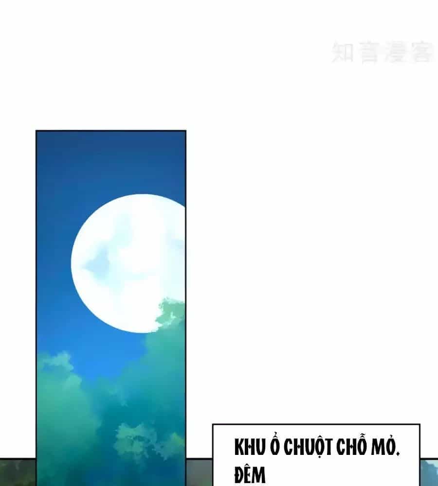 Khuynh Thành Cuồng Phi Của Tà Vương - Chương 97 - ảnh 7