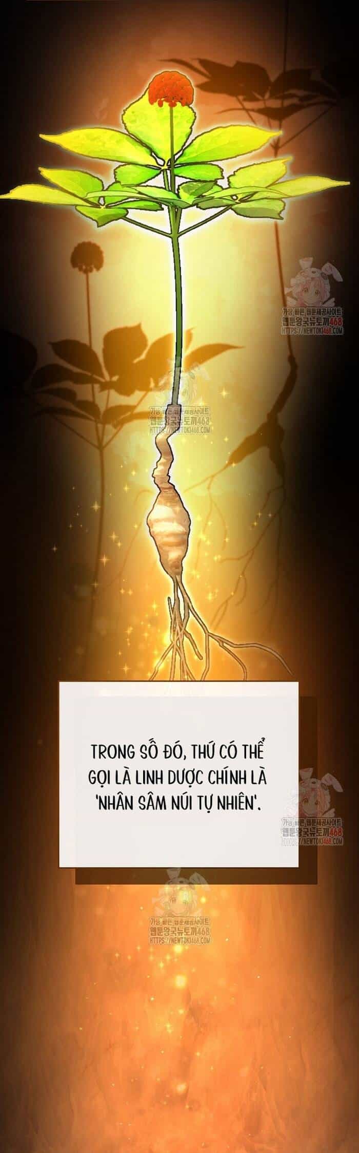 Kiếm Thánh Thiên Tài Của Học Viện - Chương 13 - ảnh 15