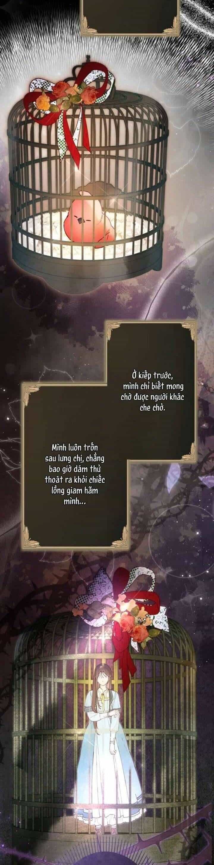 Kiếp Này Em Sẽ Không Sống Dưới Cái Bóng Của Người Chị Song Sinh - Chương 6 - ảnh 12