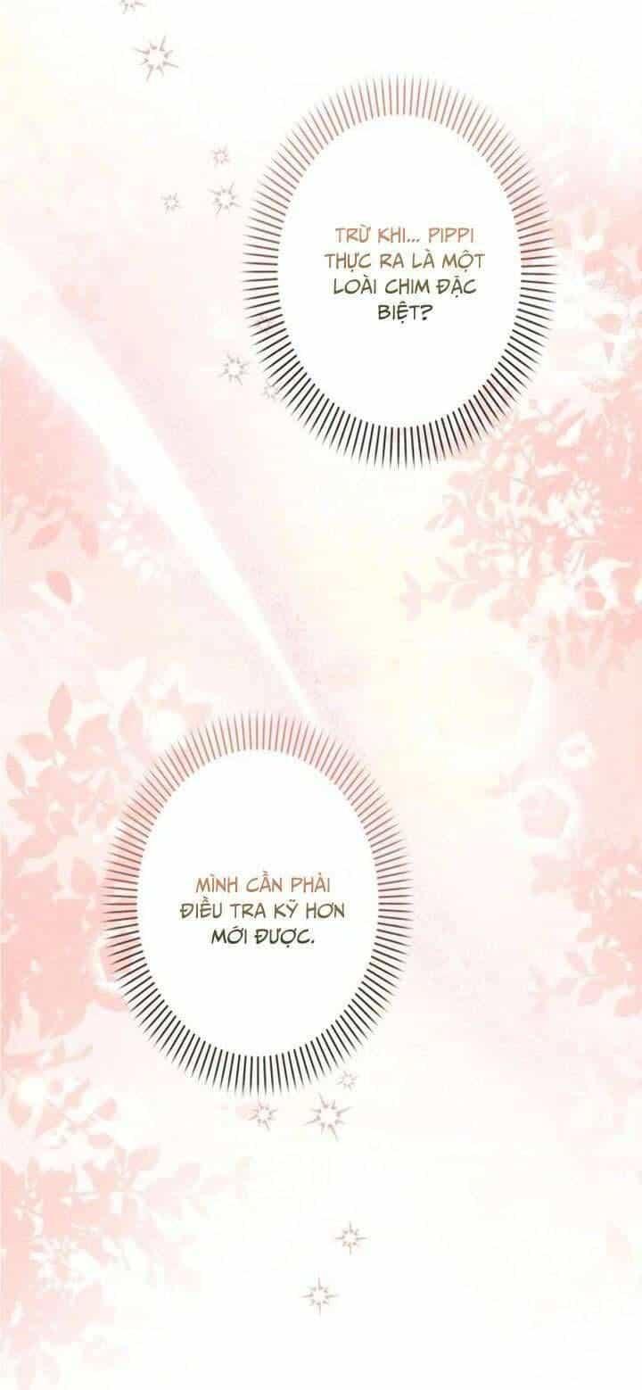 Kiếp Này Em Sẽ Không Sống Dưới Cái Bóng Của Người Chị Song Sinh - Chương 8 - ảnh 19