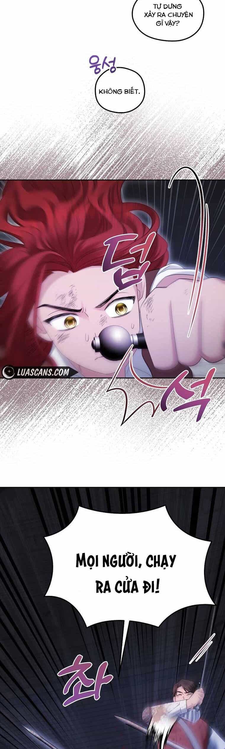 Kiếp Này Ta Sẽ Không Sống Như Một Anh Hùng Nữa Đâu! Có Lẽ Ta Sẽ Nghỉ Hưu! - Chương 11 - ảnh 41