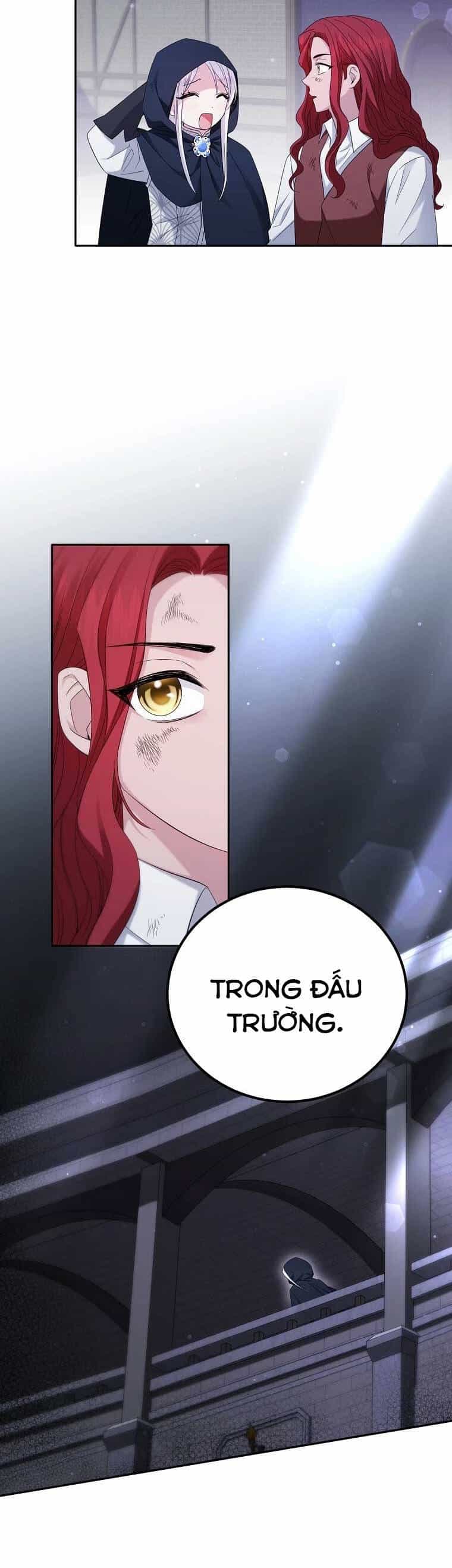 Kiếp Này Ta Sẽ Không Sống Như Một Anh Hùng Nữa Đâu! Có Lẽ Ta Sẽ Nghỉ Hưu! - Chương 12 - ảnh 18