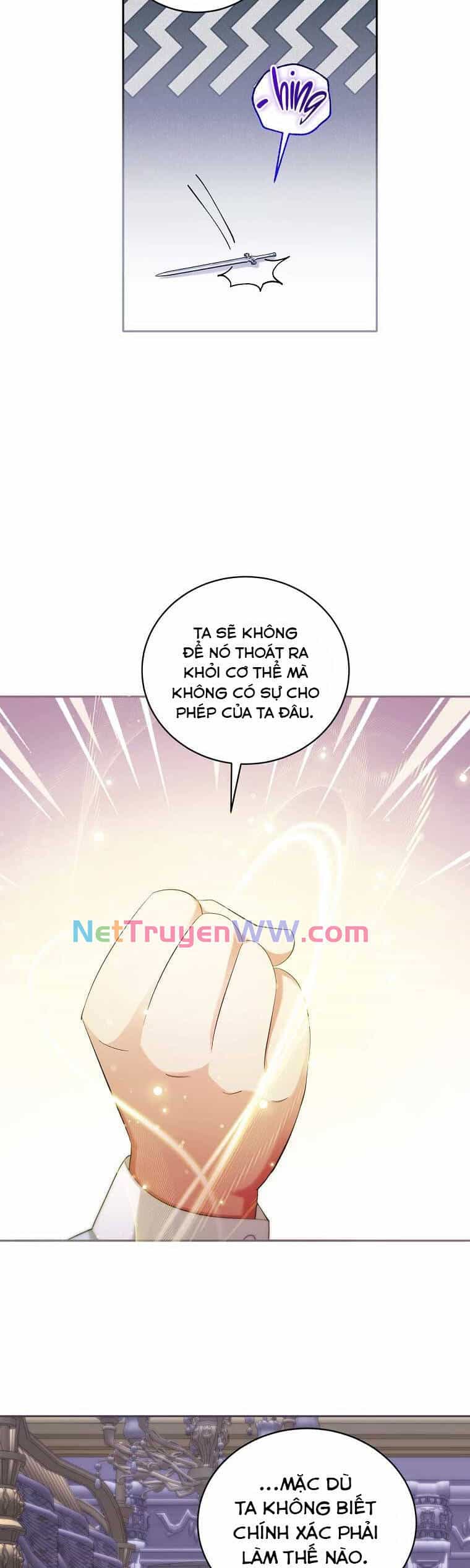 Kiếp Này Ta Sẽ Không Sống Như Một Anh Hùng Nữa Đâu! Có Lẽ Ta Sẽ Nghỉ Hưu! - Chương 5 - ảnh 17