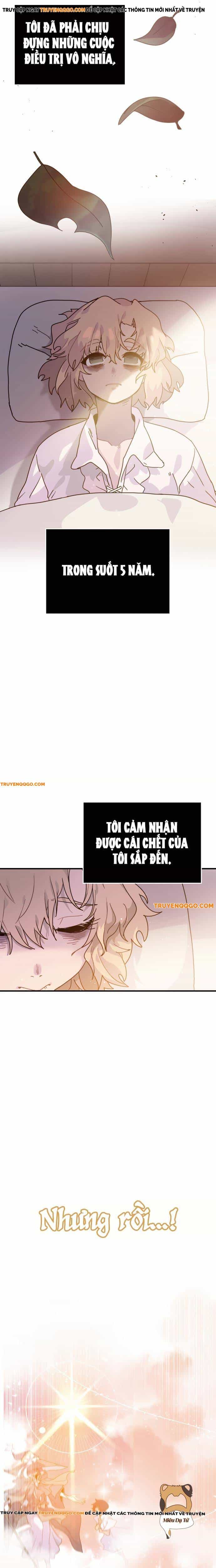 Kiếp Thứ Hai Sống Chữa Lành - Chương 1 - ảnh 27