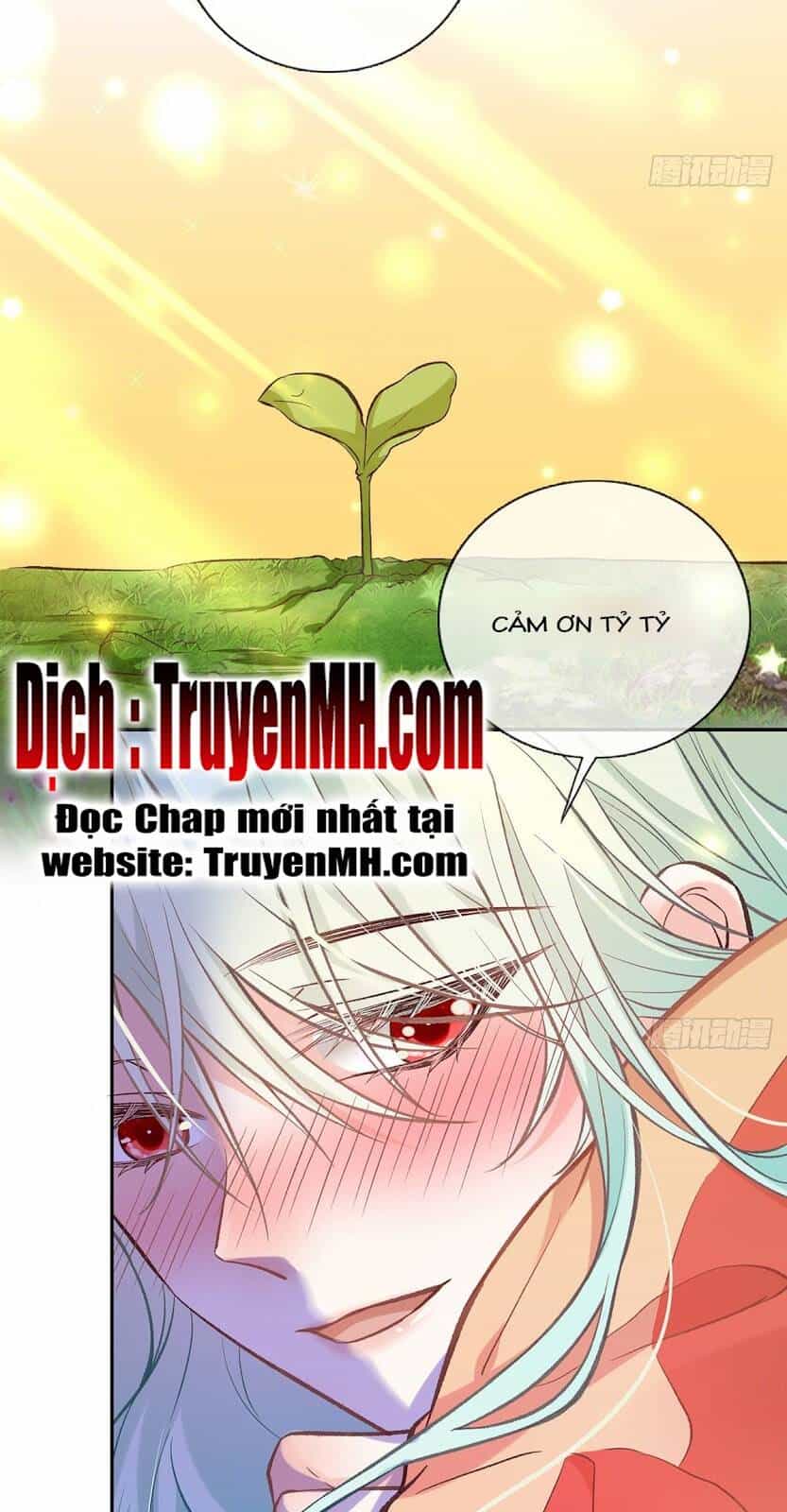 Kiều Mỵ Phu Lang, Tại Tuyến Lục Trà - Chương 30 - ảnh 7