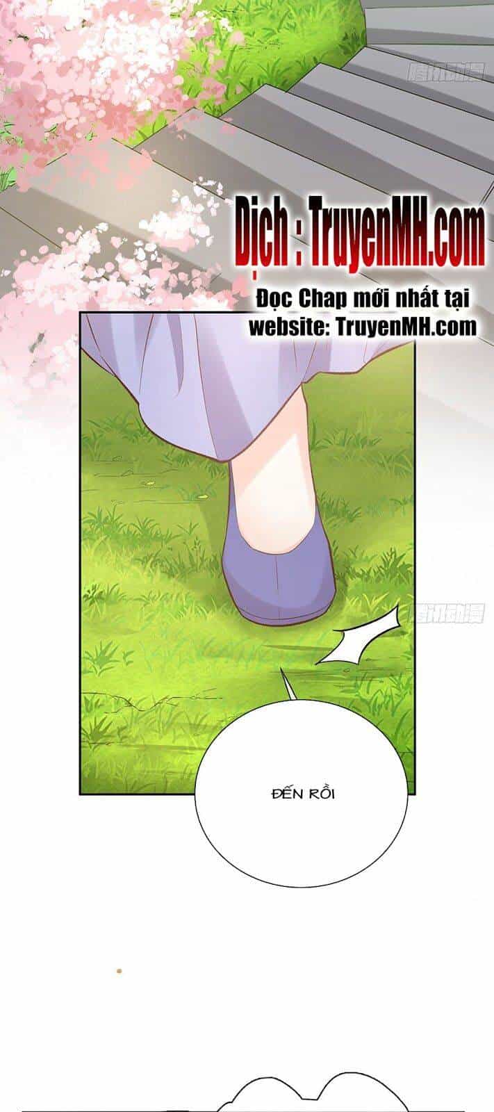 Kiều Mỵ Phu Lang, Tại Tuyến Lục Trà - Chương 47 - ảnh 19