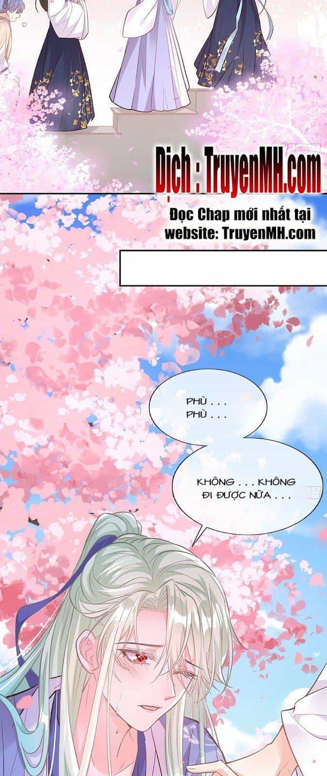 Kiều Mỵ Phu Lang, Tại Tuyến Lục Trà - Chương 47 - ảnh 4